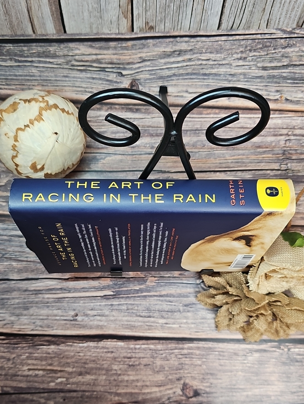 THE ART OF RACING IN THE RAIN A NOVEL BY GARTH STEIN HARDCOVER - Picture 6 of 8